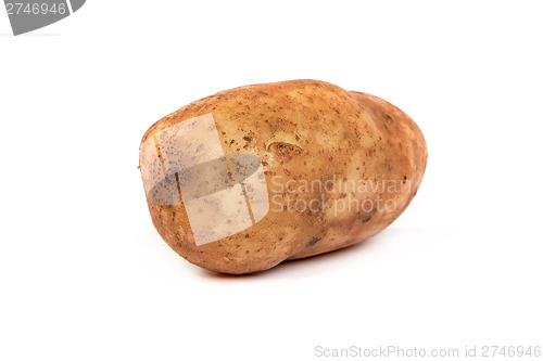 Image of One potato isolated on white