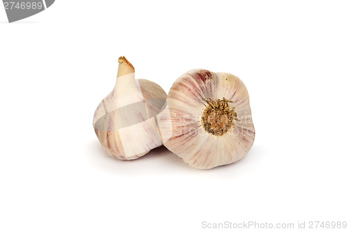 Image of Group of garlics . A heads of garlics isolated