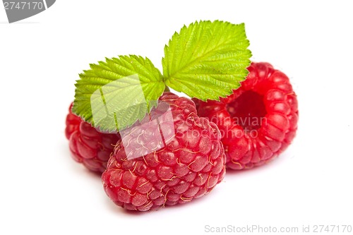 Image of Bunch of a red raspberry on a white background. Close up macro s