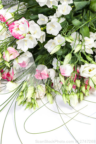 Image of spring flowers background on white background