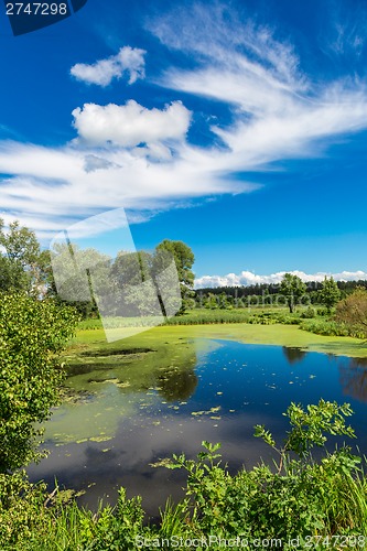 Image of Panorama of summer morning lake
