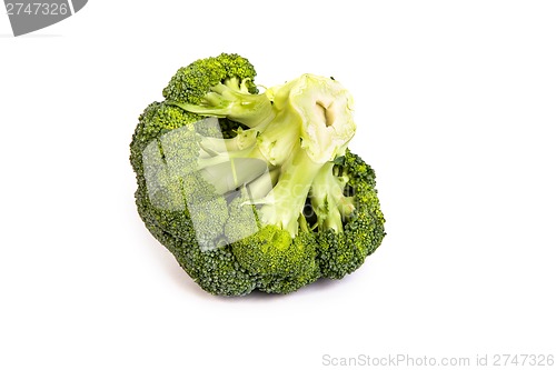 Image of Single broccoli floret isolated on white