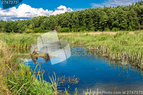 Image of Summer landscape with river