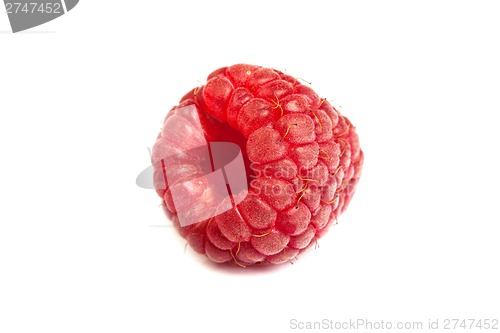 Image of Single fresh raspberry, isolated on  white. Close up macro shot