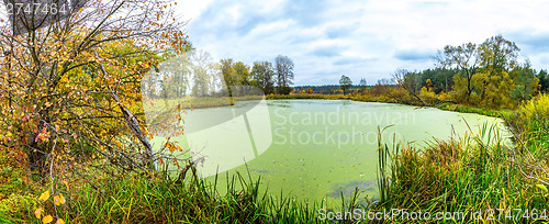 Image of Forest lake in fall. Panorama