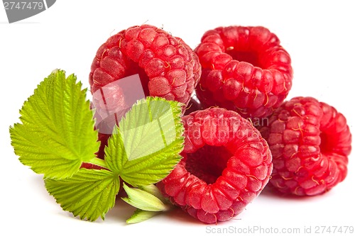 Image of Bunch of a red raspberry on a white background. Close up macro s