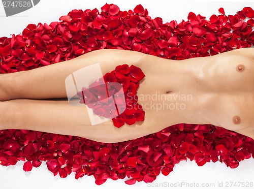 Image of Part of the naked beautiful suntanned female body in petals of s