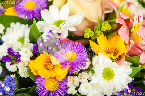 Image of spring flowers background on white background