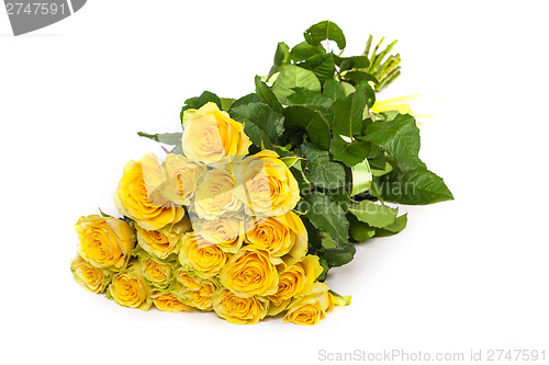 Image of Group of fresh yellow roses