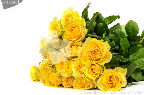 Image of Group of fresh yellow roses