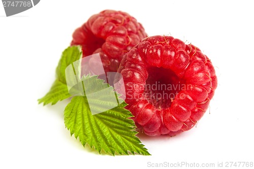 Image of Bunch of a red raspberry on a white background. Close up macro s