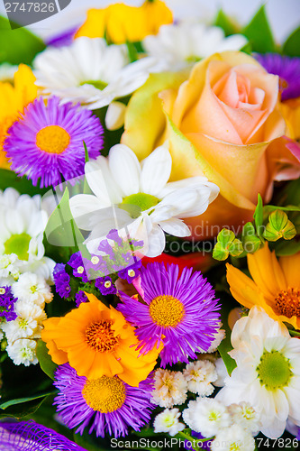 Image of spring flowers background on white background