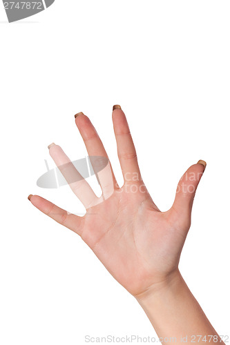 Image of Hand gesture number five closeup isolated on white