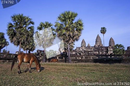Image of Angkor Wat