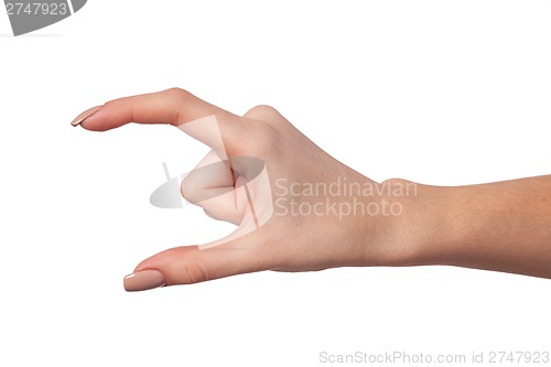 Image of Female hand reaching for something on white