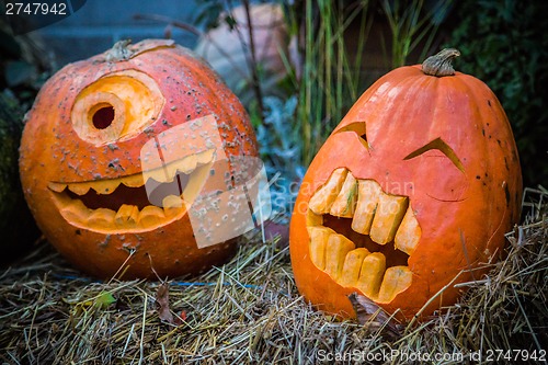 Image of Halloween pumpkin