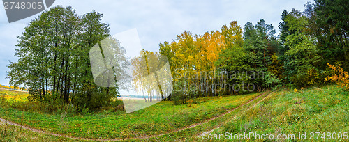 Image of Autumn forest panorama