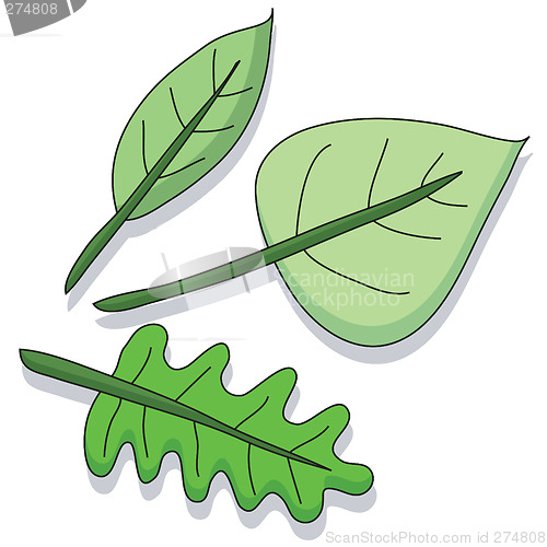 Image of Cartoon leaf