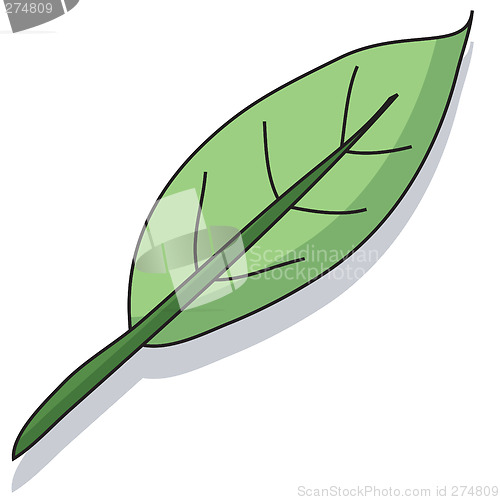 Image of Cartoon leaf