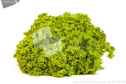 Image of Fresh Green Lettuce isolated on white