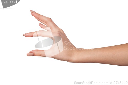 Image of Female hand reaching for something on white