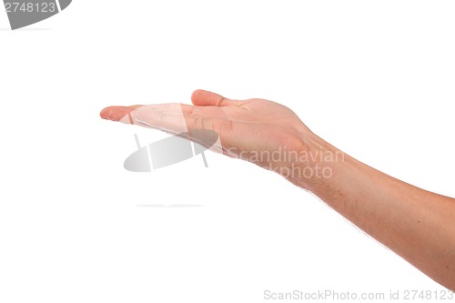 Image of Open palm hand gesture of male hand