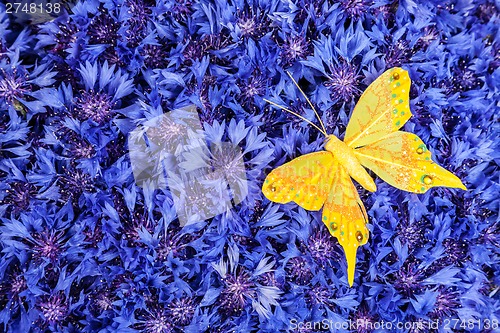 Image of Spring blue cornflower with yellow butterfly