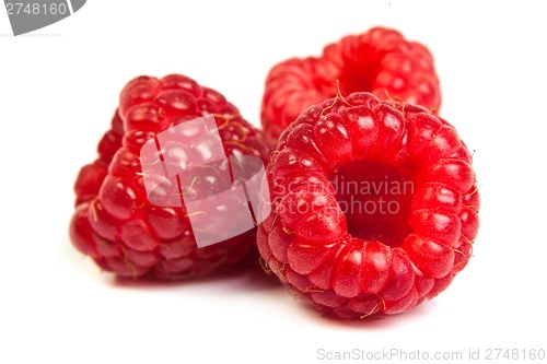 Image of Bunch of a red raspberry on a white background. Close up macro s