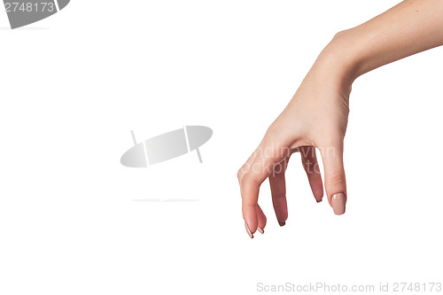 Image of Female hand reaching for something on white