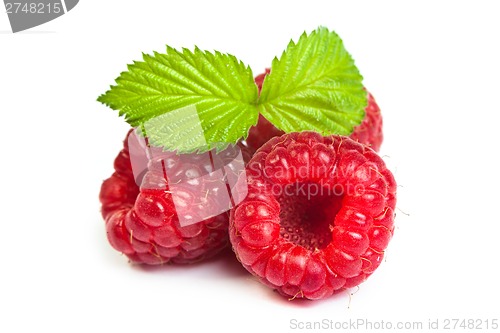 Image of Bunch of a red raspberry on a white background. Close up macro s