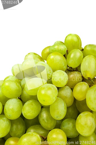 Image of Grape