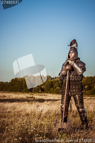 Image of Medieval knight