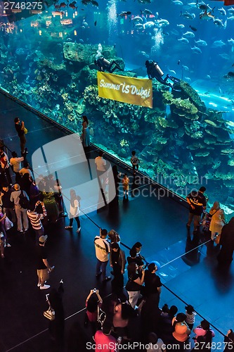 Image of Largest aquarium of the world in Dubai Mall