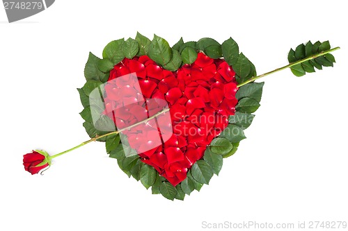 Image of Heart shape made out of rose