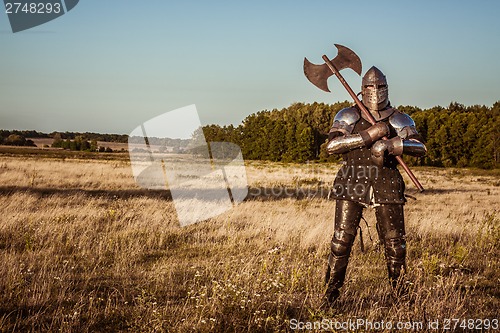 Image of Medieval knight