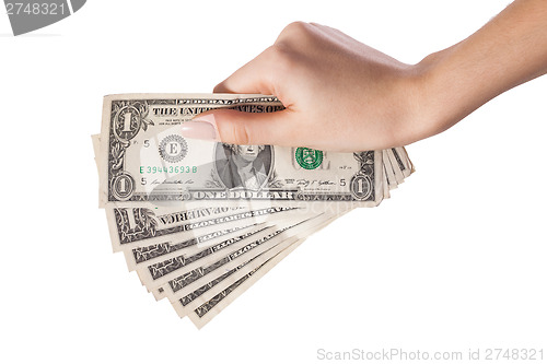 Image of Female hand holding money dollars isolated on white background