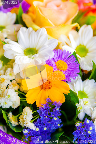 Image of spring flowers background on white background