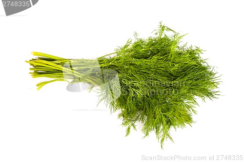 Image of Fresh branches of green dill isolated