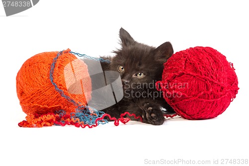 Image of Black kitten playing with a red ball of yarn on white background