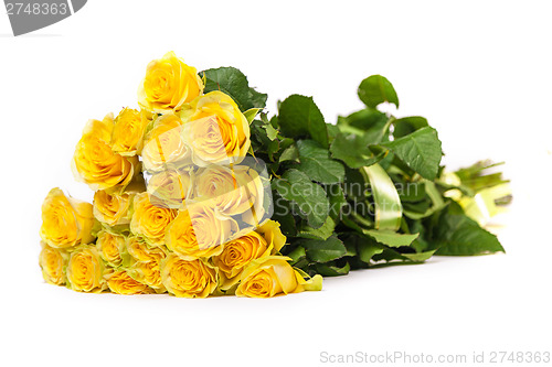 Image of Group of fresh yellow roses