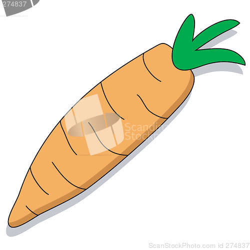 Image of Carrot