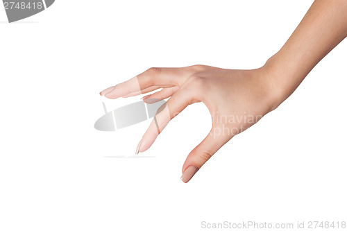 Image of Female hand reaching for something on white