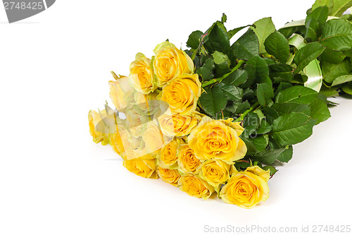 Image of Group of fresh yellow roses