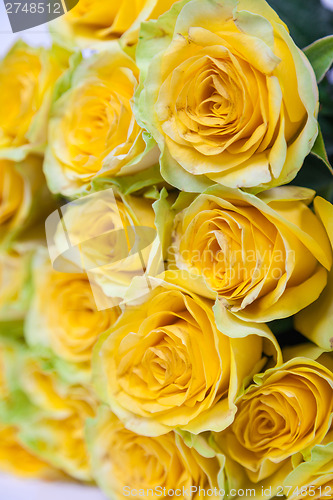 Image of Group of fresh yellow roses