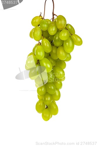 Image of Bunch of Green Grapes laying isolated