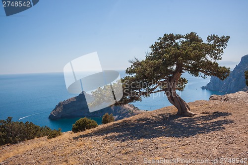 Image of Summer view seacoast. Sudak beach. Black Sea, Ukraine