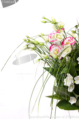 Image of spring flowers background on white background
