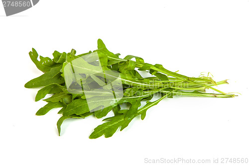 Image of Arugula/rucola  fresh heap leaf on white