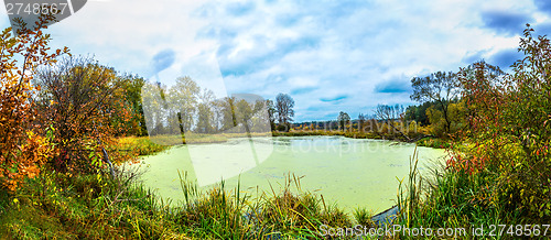 Image of Forest lake in fall. Panorama