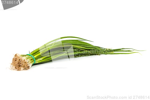 Image of Fresh scallions isolated on white